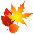 Fall leaves clipart